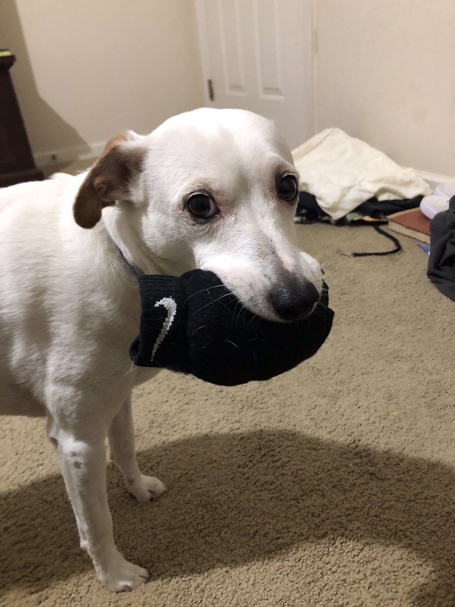 He’s open for endorsements <a href="/Nike/">Nike</a> <a href="/nikefootball/">Nike Football</a>