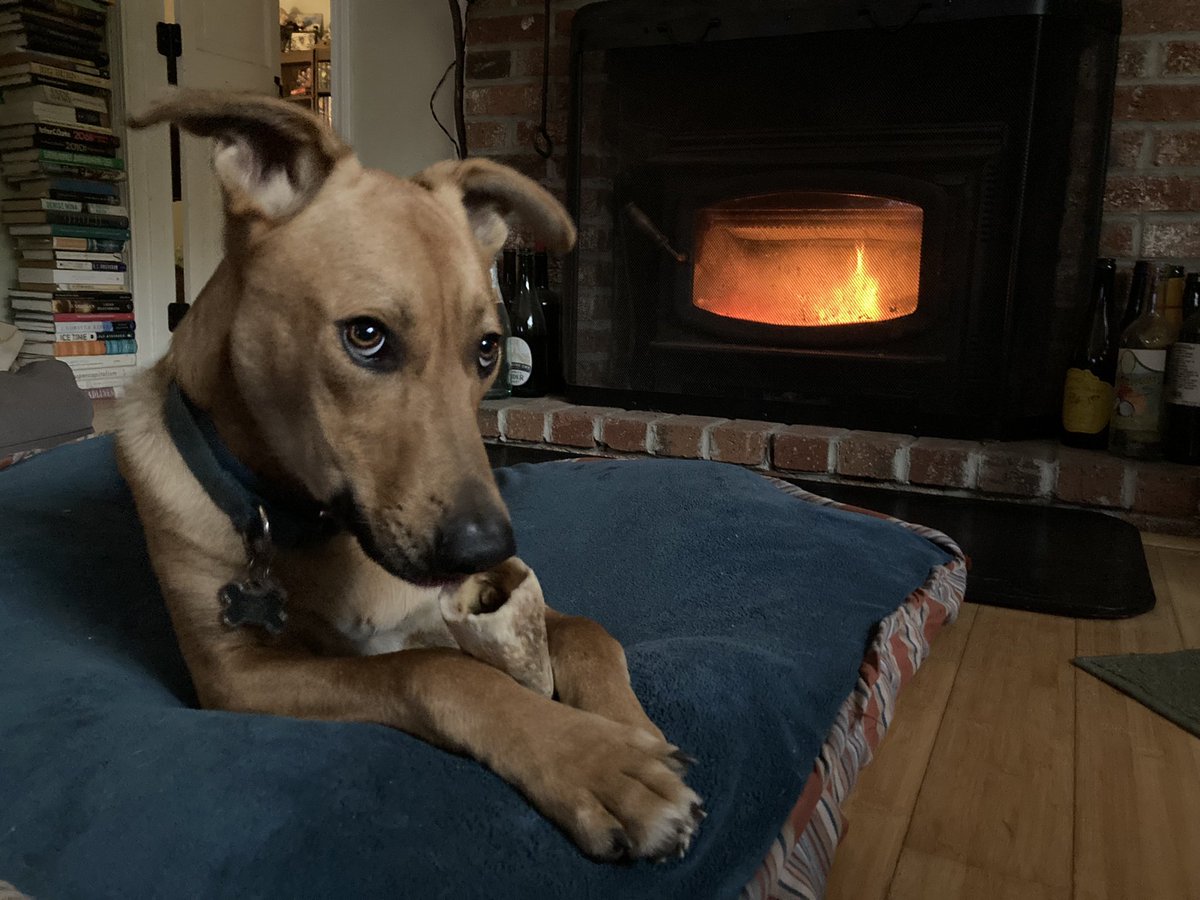 Summer’s over. First wood stove fire of the season. Dodger, the dog, doesn’t seem to mind. <a href="/capecodtimes/">Cape Cod Times</a> #harwich #woodstove #capecod