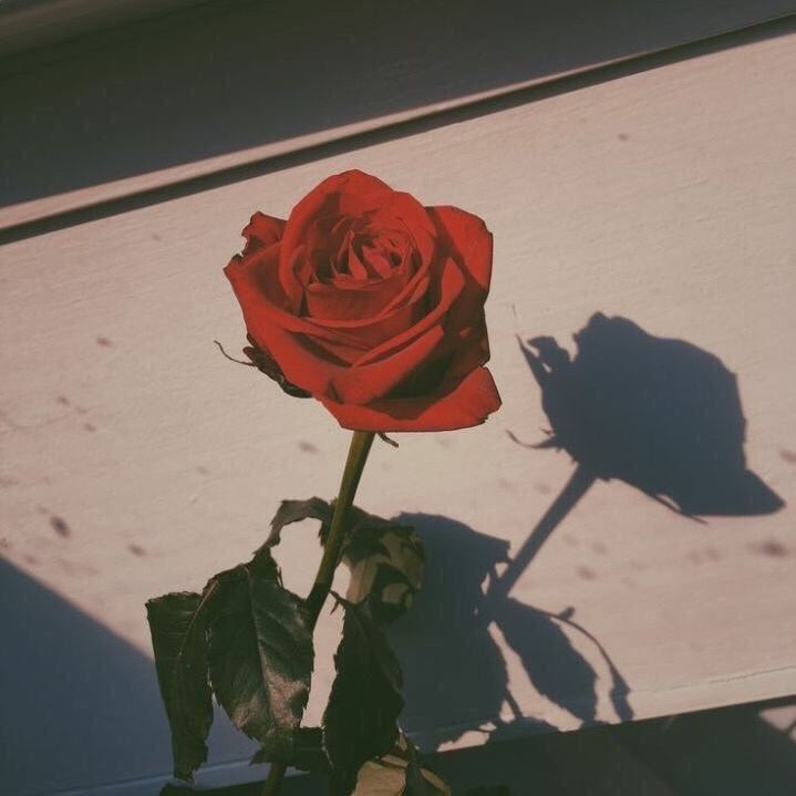 gotjwang's tweet photo. ㅤㅤ𓂃 𓏲ꪆ ˒ https://t.co/MyvhELWdyW https://t.co/xMBNFYn8xb