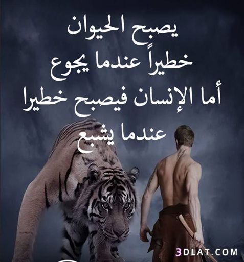 alisoker1212's tweet photo. الضربات القوية تهشم الزجاج ولكنها تصقل الحديد. https://t.co/qjX9LVMfav