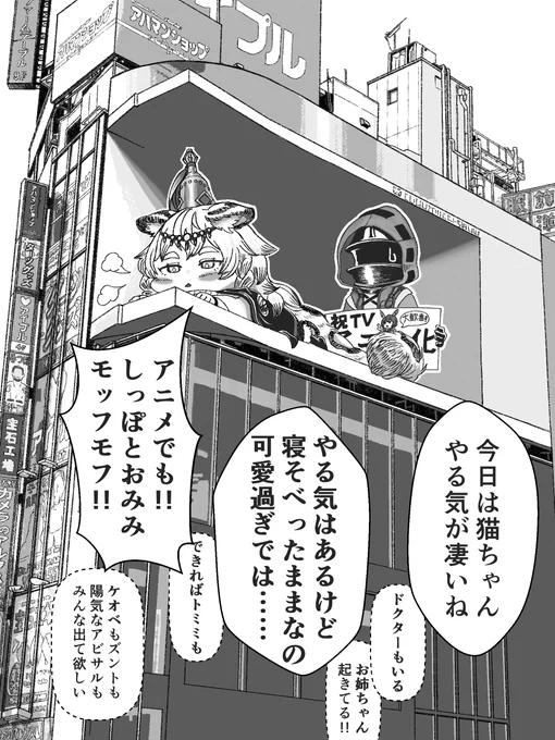 アークナイツアニメ化は凄く嬉しい!!新宿の猫ビルでフェリーンメインのCM流して欲しい。#アークナイツ 