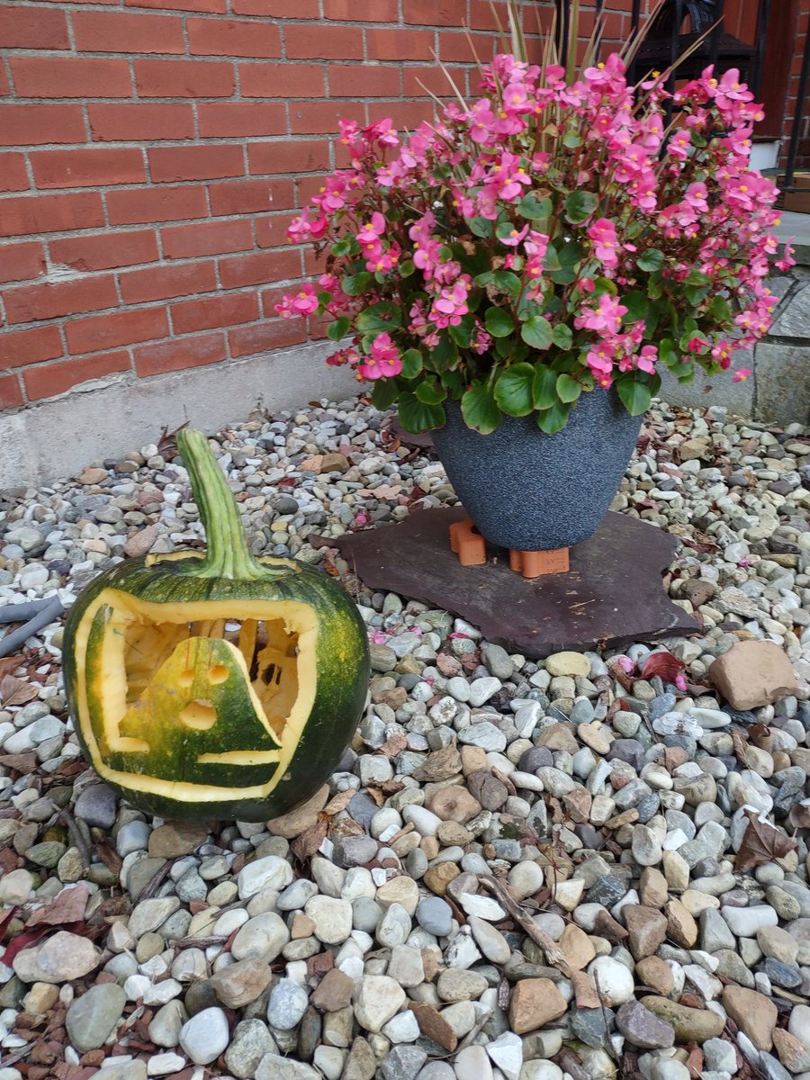 DocNicWat's tweet image. 2 scary academic things.
#paranormaldistribution @AcademicsSay @hapyresearchers @AcademicChatter