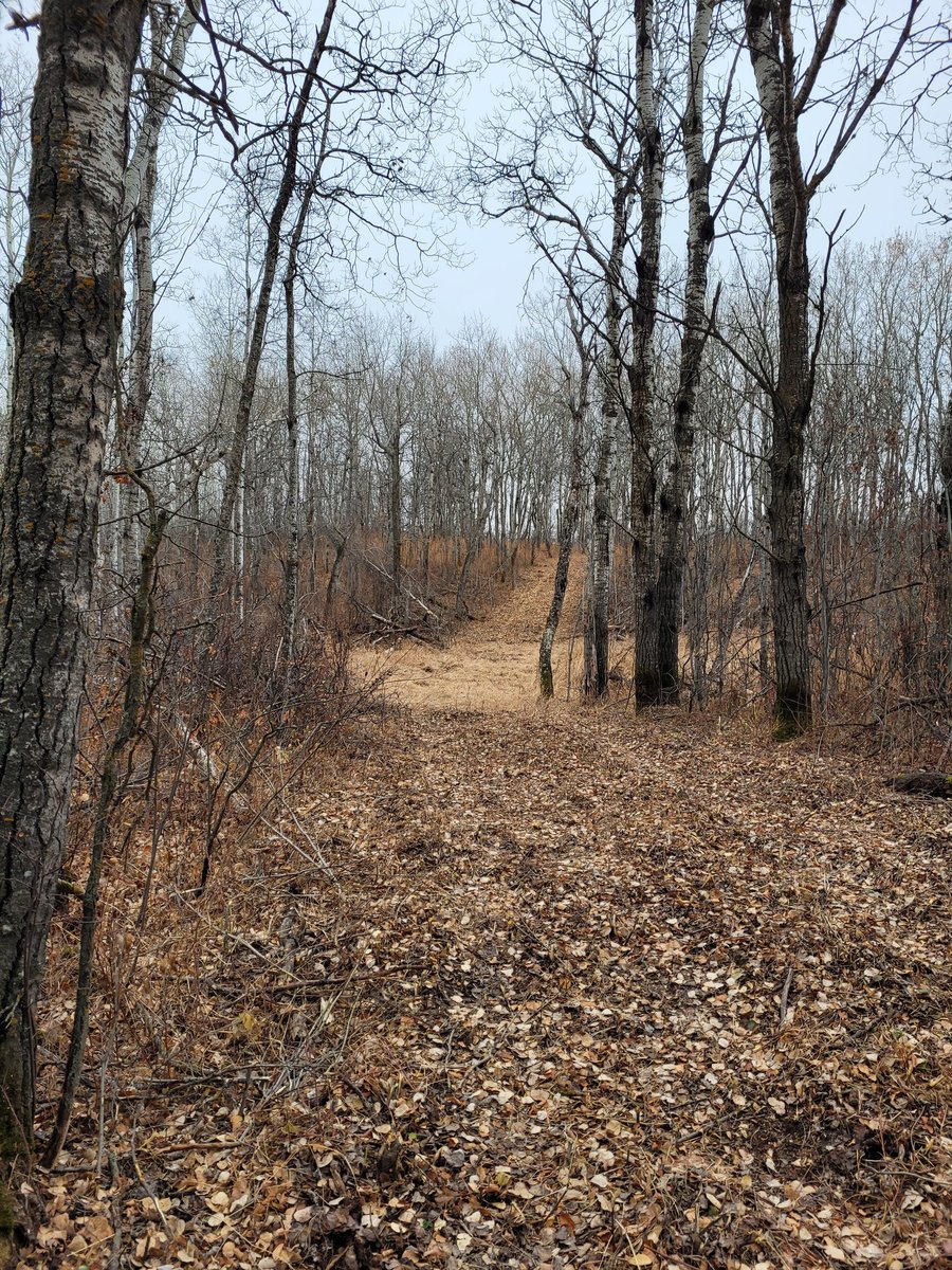 Merle Massie, PhD 📚✒️🚜🇨🇦 tweet media