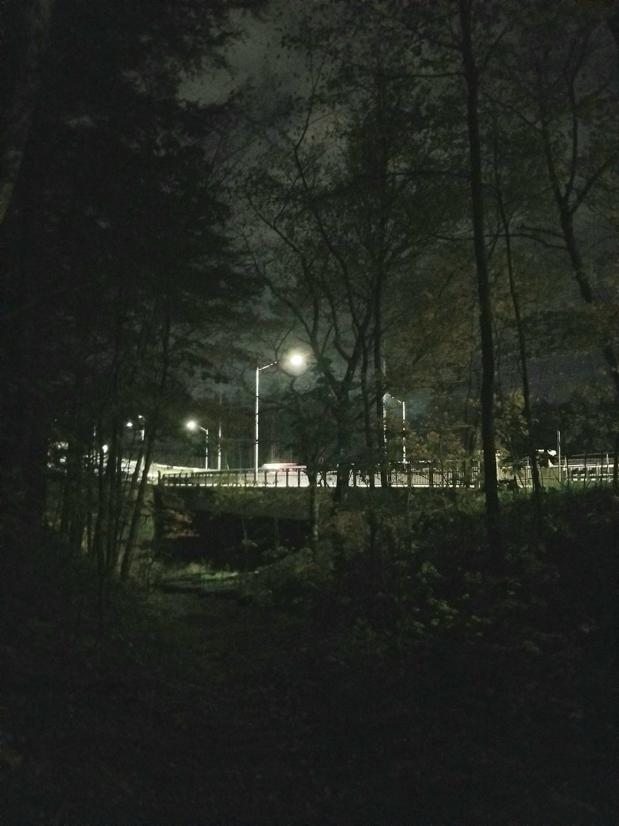 james_e_garratt's tweet photo. #MajorMackenzieDrive. The good: plantings to replace felled trees... Also restored cobble/boulder creek-bed and banks for fish habitat (#RedsideDace ?).
The bad: streetlights double corridor 'footprint' via light-trespass, affecting nocturnal lifeforms. #LightPollution https://t.co/ZOCpB1bMms