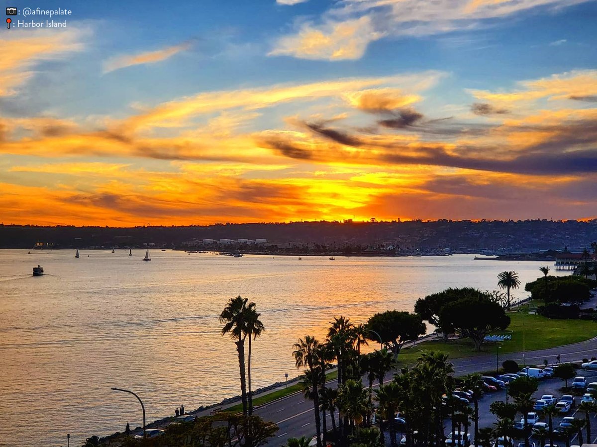 visitsandiego's tweet photo. As the sun goes down, the sky comes to life. 😍 

📍: Point Loma #VisitSD https://t.co/YHlVrBMm9e