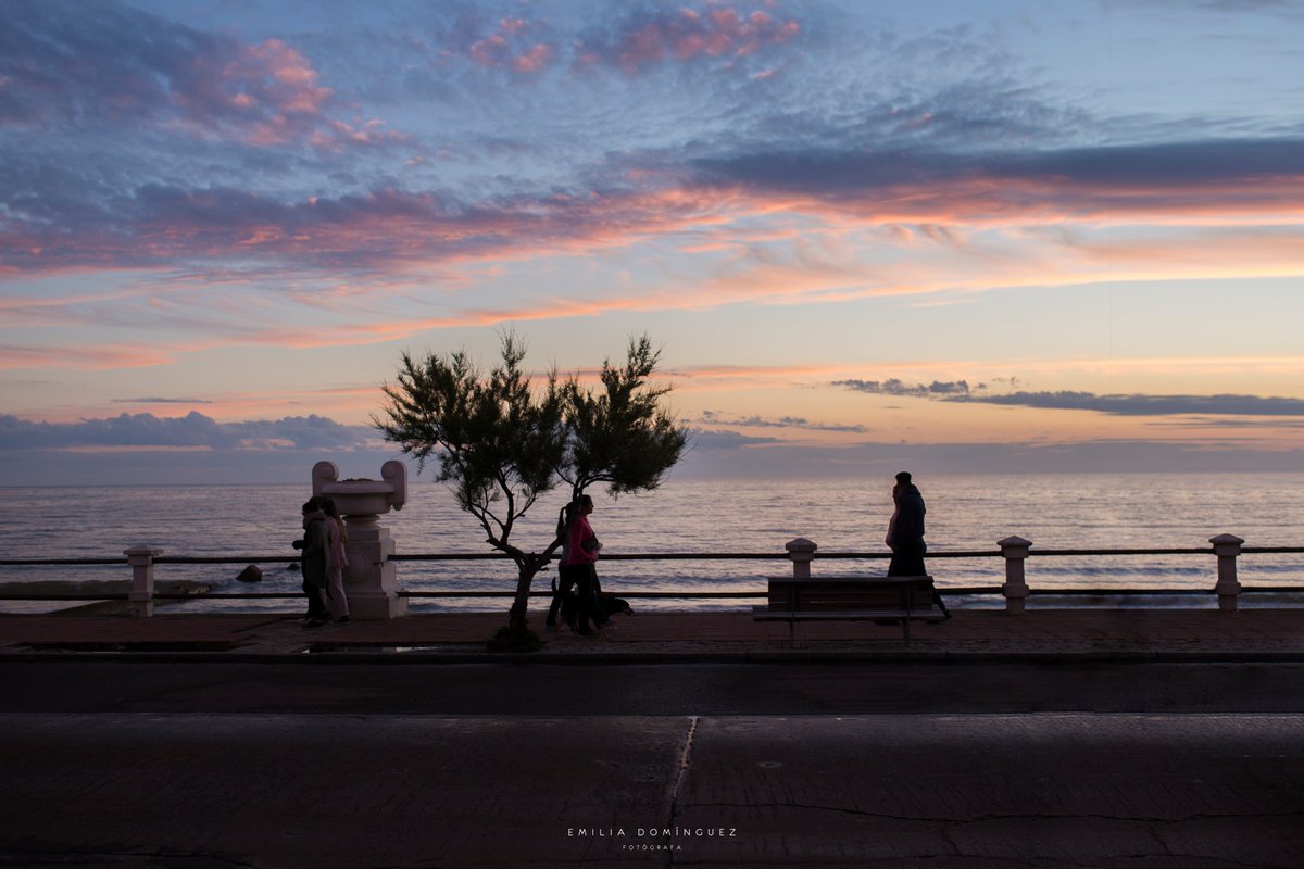 Emilia Domínguez tweet media