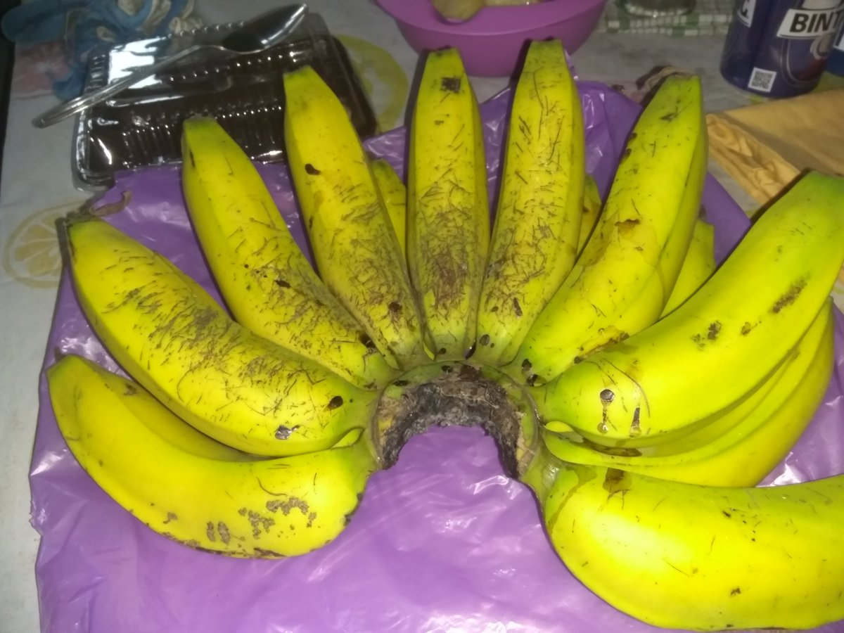 bangun widodo tweet media