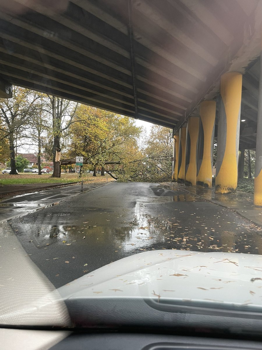 mealiffe's tweet photo. @SDOTtraffic This one? https://t.co/DQL4sTYy7V