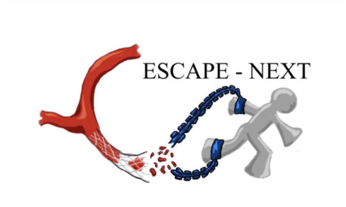 Neurovasc@Sunnybrook (@nvsunnybrook) on Twitter photo Super proud as <a href="/NVSunnybrook/">Neurovasc@Sunnybrook</a> enrolled the 100th case of EVT for he ongoing ESCAPE-NEXT trial !! This collaborative work with our neurology colleagues is going to be the next big thing in acute stroke care!! <a href="/DrRickSwartz/">Rick Swartz</a> Super proud as <a href="/NVSunnybrook/">Neurovasc@Sunnybrook</a> enrolled the 100th case of EVT for he ongoing ESCAPE-NEXT trial !! This collaborative work with our neurology colleagues is going to be the next big thing in acute stroke care!! <a href="/DrRickSwartz/">Rick Swartz</a>