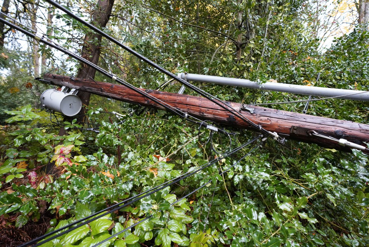 Puget Sound Energy tweet media