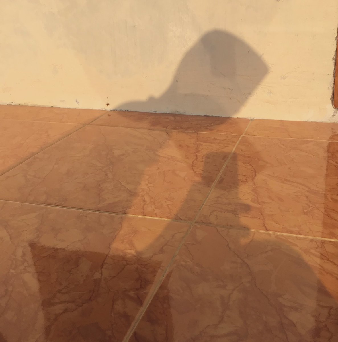 Jangan lupa berjemur! Supaya dijauhkan dari virus dan kuman, pula dari yang cuma bikin nyaman kemudian menghilang tanpa kabar.