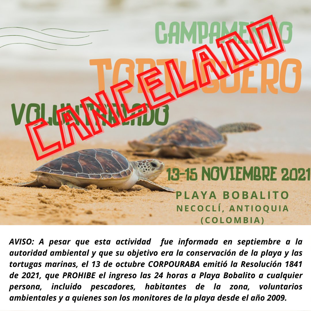 En el 2° país mas biodiverso del mundo, las autoridades ambientales prohíben hacer actividades de conservación de ecosistemas, incluso por voluntarios...🤷‍♂️

#TortugasDeBobalito

(Seguro el hecho (y este trino) pasará desapercibido, pero al menos no en total silencio)