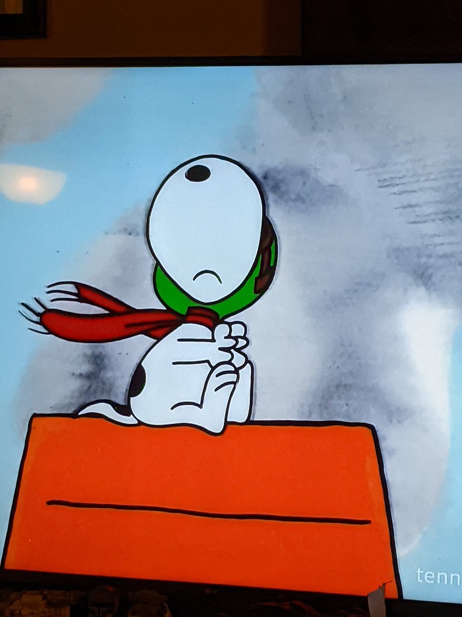 Snoopy is a Swiftie, confirmed. 🧣

#TaylorSwift #Swiftie #TaylorsVersion