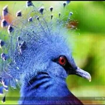 paceMepa2's tweet photo. #FotoProfilBaru https://t.co/aYj4KH9M8z