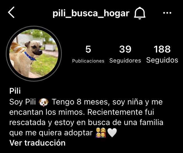 ManuVacc's tweet photo. Si pueden compartir les agradezco 💛 https://t.co/pXi801PCg7