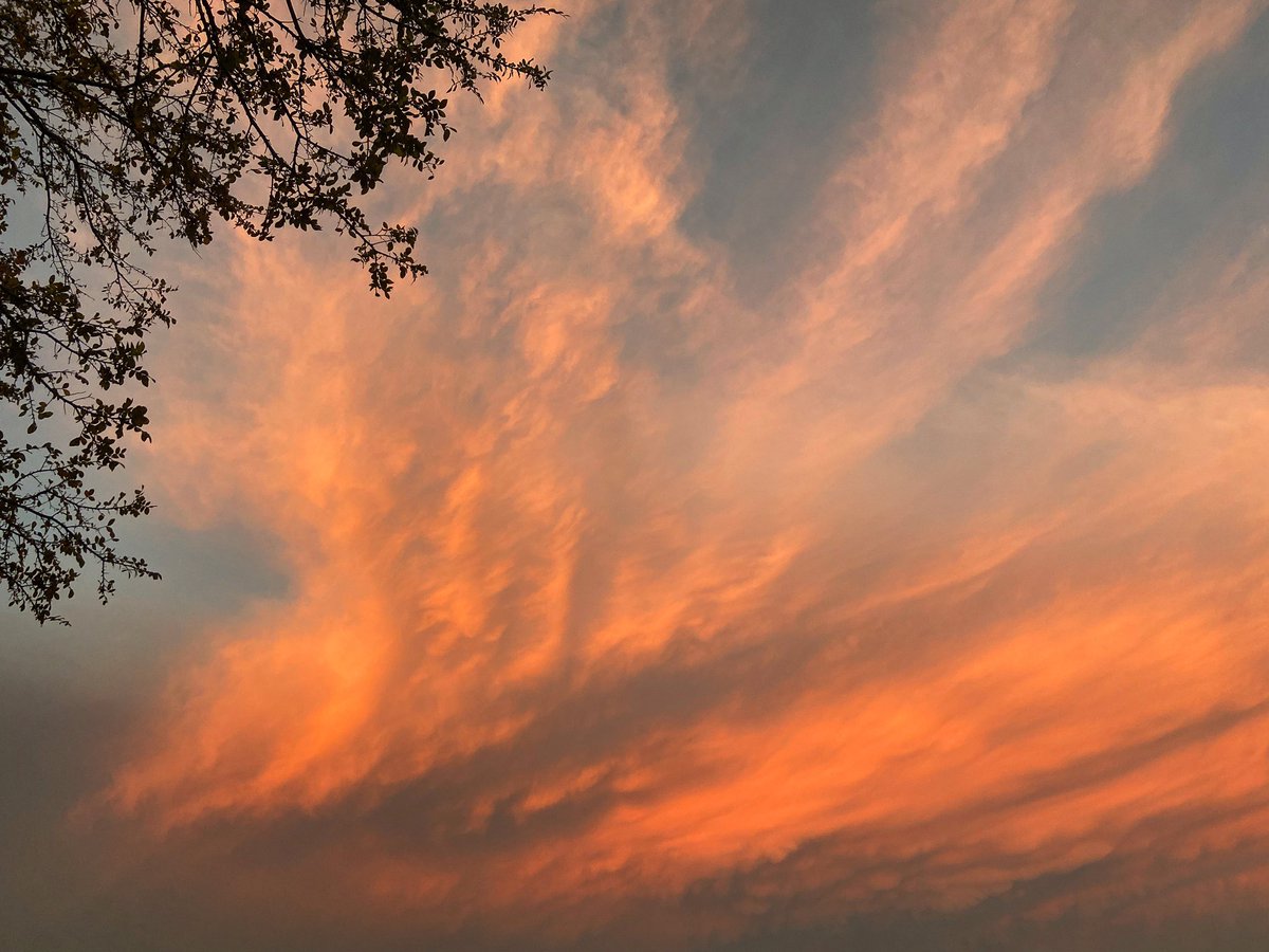 MrsWoodruff08's tweet photo. Sunset was 🔥just now! https://t.co/vxZ7TFvuDX