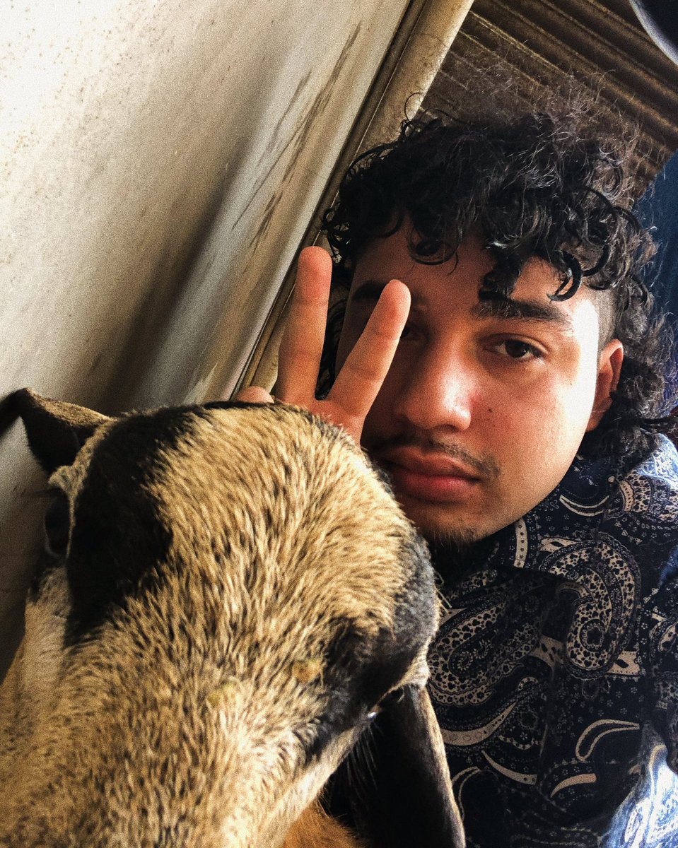 I JUST GOT A NEW PET CHIVO HIS NAME IS XBOX180 SANCHEZ 💞🥺 he so cute 😭
