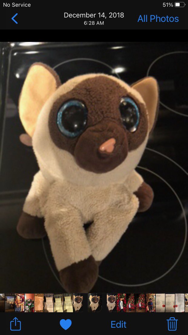 RayRuga's tweet photo. @AmericanAir We desperately need your help…my son lost Jayden, his lifelong companion stuffed animal at DFW Terminal C this morning at check-in at 7am…if you could please help find you will help fix a boy’s broken heart…please help https://t.co/O14agSscQA