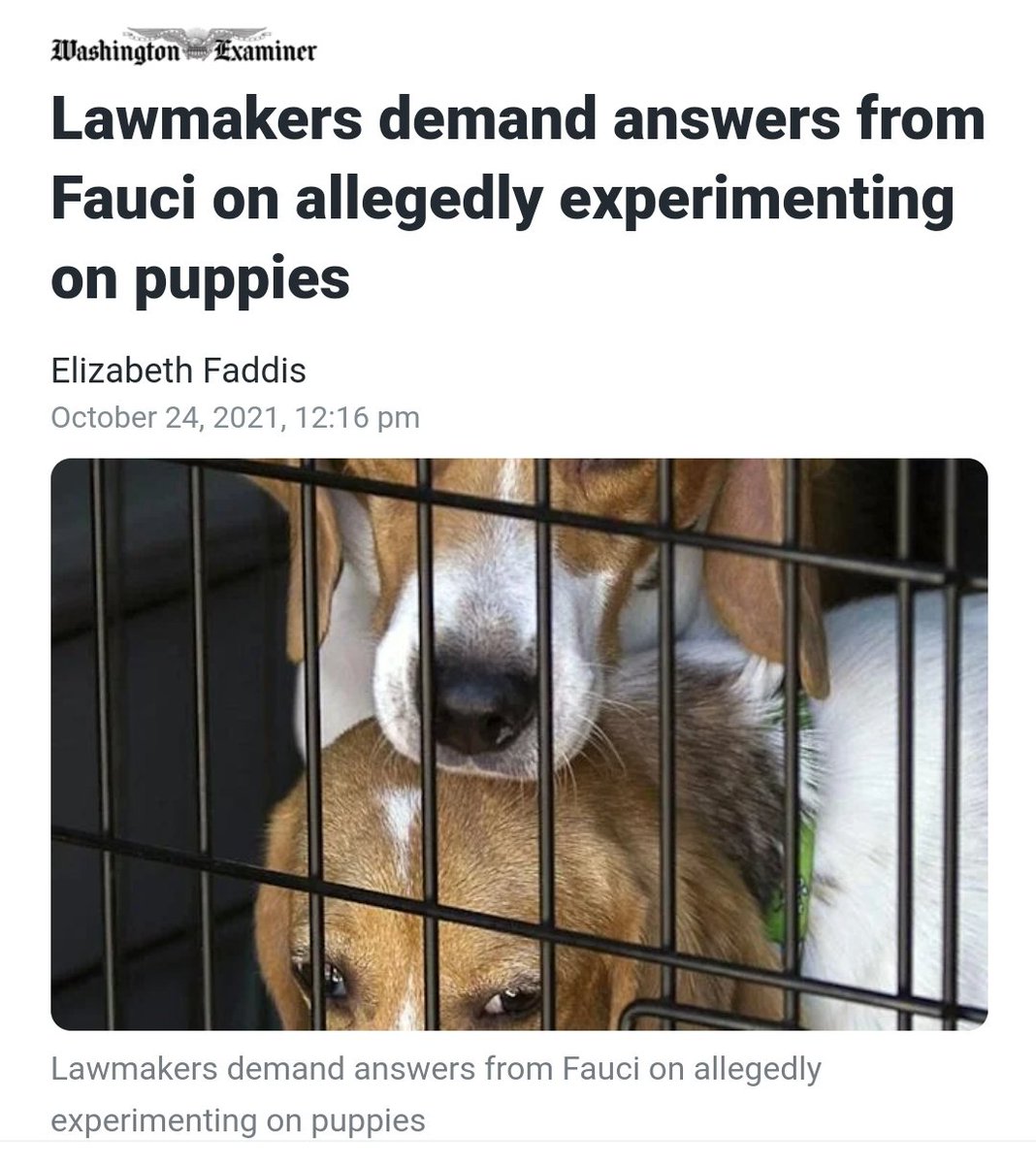 MoeFactz's tweet photo. 👀💉🐶 I want that same energy that the media gave Michael Vick... #Fauci #Puppygate https://t.co/TNCGQBIiQN