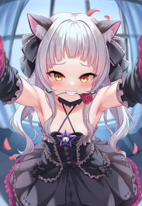 おはにゃん～～～ฅ^•ω•^ฅ
今日は…??🦈🌙💭 