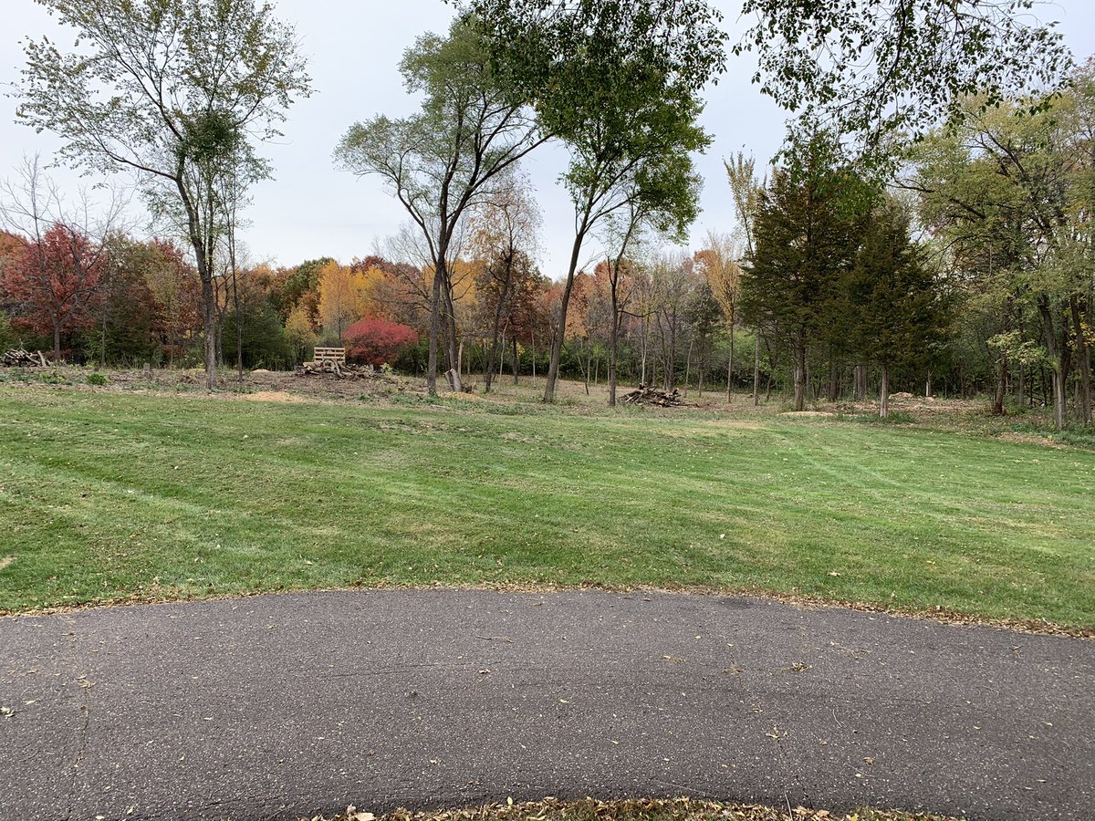 Turfintel's tweet image. The quest for a few par 3 holes continues. Cleaned up the 50 trees I cut down with @km_johnsen help. A few trees still to clean up over the winter as I finalize the plans and then I can move some dirt in the spring. Before and after photos.