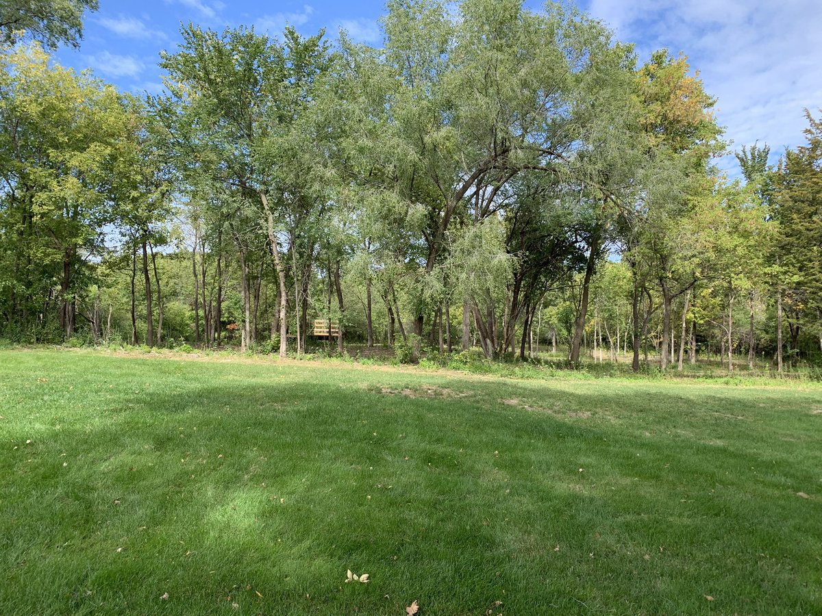 Turfintel's tweet image. The quest for a few par 3 holes continues. Cleaned up the 50 trees I cut down with @km_johnsen help. A few trees still to clean up over the winter as I finalize the plans and then I can move some dirt in the spring. Before and after photos.