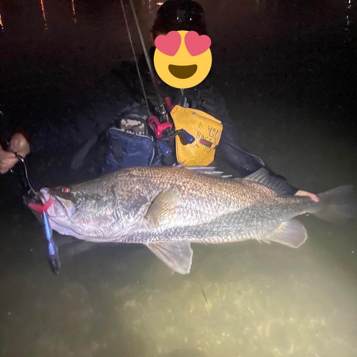 KfihsingKAIGYO's tweet photo. 最終日の夜、一緒に行った先輩のK9にヒット
14キロの恐らくメーターオーバー🙄
さすがです👏

アカメ初挑戦でポイント探しから始めてこの釣��は奇跡👍

#アカメ #高知 #釣り #フィッシング
#K9 #ARTEX  #怪魚 https://t.co/SH34EOvNc5