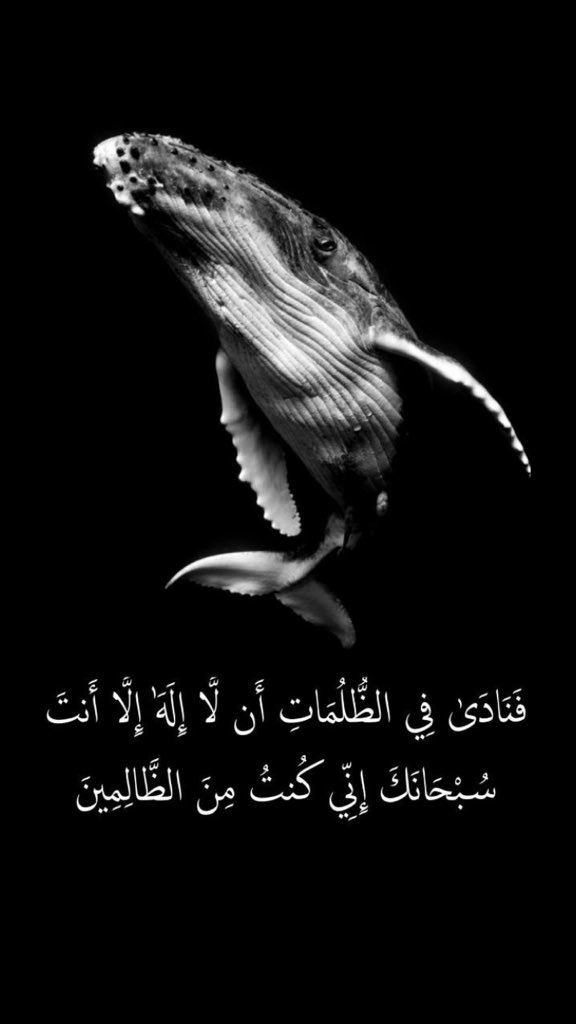 V7hn7's tweet photo. ﴿فَنَادَىٰ فِي الظُّلُمَات أَنْ لَا إِلَٰهَ إِلَّا أَنْتَ سُبْحَانَك  إِنِّي كُنْتُ مِنَ الظَّالِمِين َ﴾

#يونس_عليه_السلام كان في ظلمات ثلاث : ظلمة البحر وظلمة الليل وفي ظلمة بطن الحوت ومع ذلك  هناك أمل ؛ فلا تيأس فأمره بين الكاف والنون ،  كن فيكون . 
' https://t.co/P23iEbsjhV