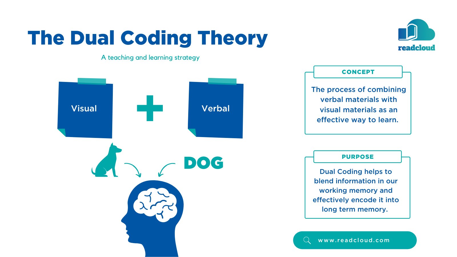 Dual coding theory definition sale