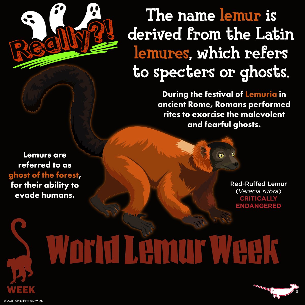 PepomintNarwhal's tweet photo. #WorldLemurWeek #Really #RedRuffedLemur
2022 Animal Calendar on Etsy https://t.co/48budCETnr
Shop #PeppermintNarwhal
Redbubble https://t.co/ISRfrTWwVu
TeePublic https://t.co/yNi4J9Tz7I
Zazzle https://t.co/NFmJJTiOHM
YouTube https://t.co/uKbf9WHgqP
#LemurWeek #Lemur https://t.co/5833RtjQLZ