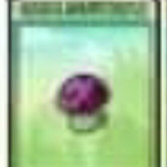 ‼️‼️‼️ tweet media