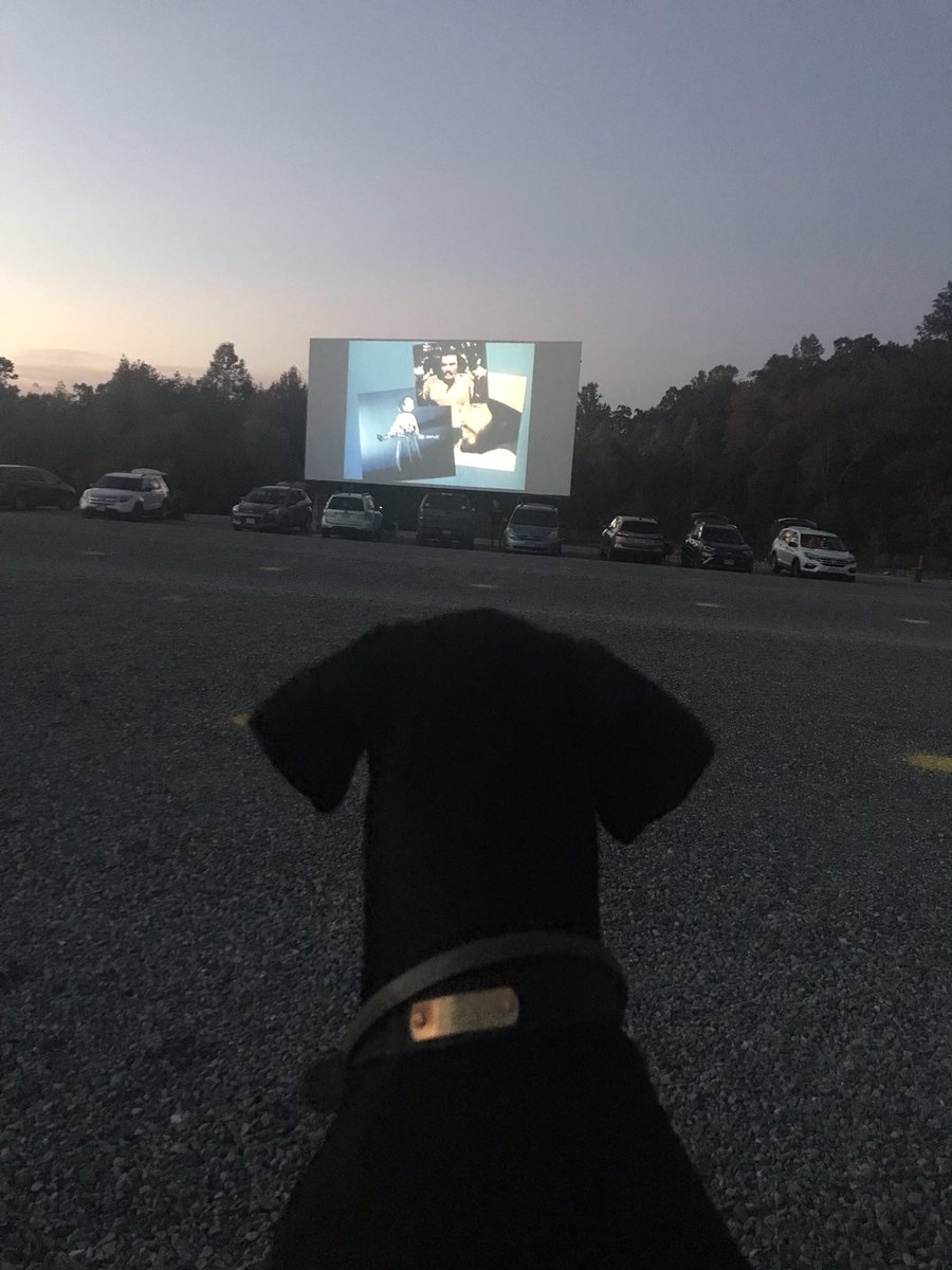 Megan Proffitt tweet media