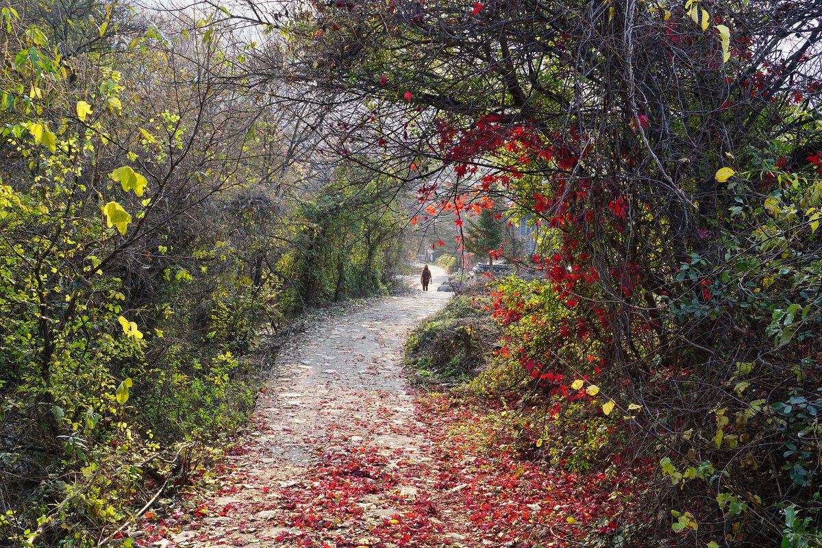 ValuedVoiceLV's tweet image. Weekend Favs October 23 dlvr.it/SBDF62 #Tools #Creatorbase @ducttape