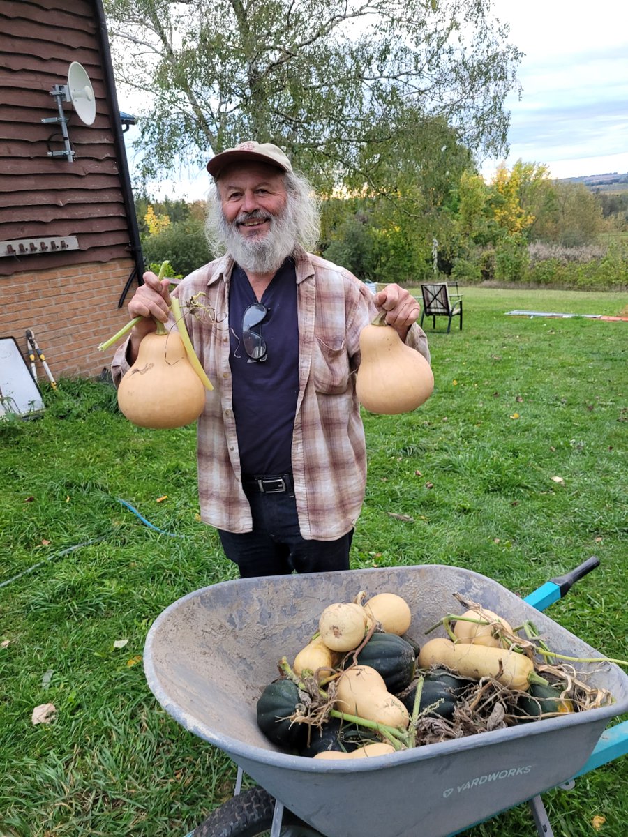 WillowWeedFarm's tweet photo. October is a crazy busy month here at Willow Farm. While Cannabis is our main priority, we also harvest honey from our bees, grapes for Willow Wine, sunflower seeds, squash, and forage for mushrooms in the forest. https://t.co/dkaqU31kJB