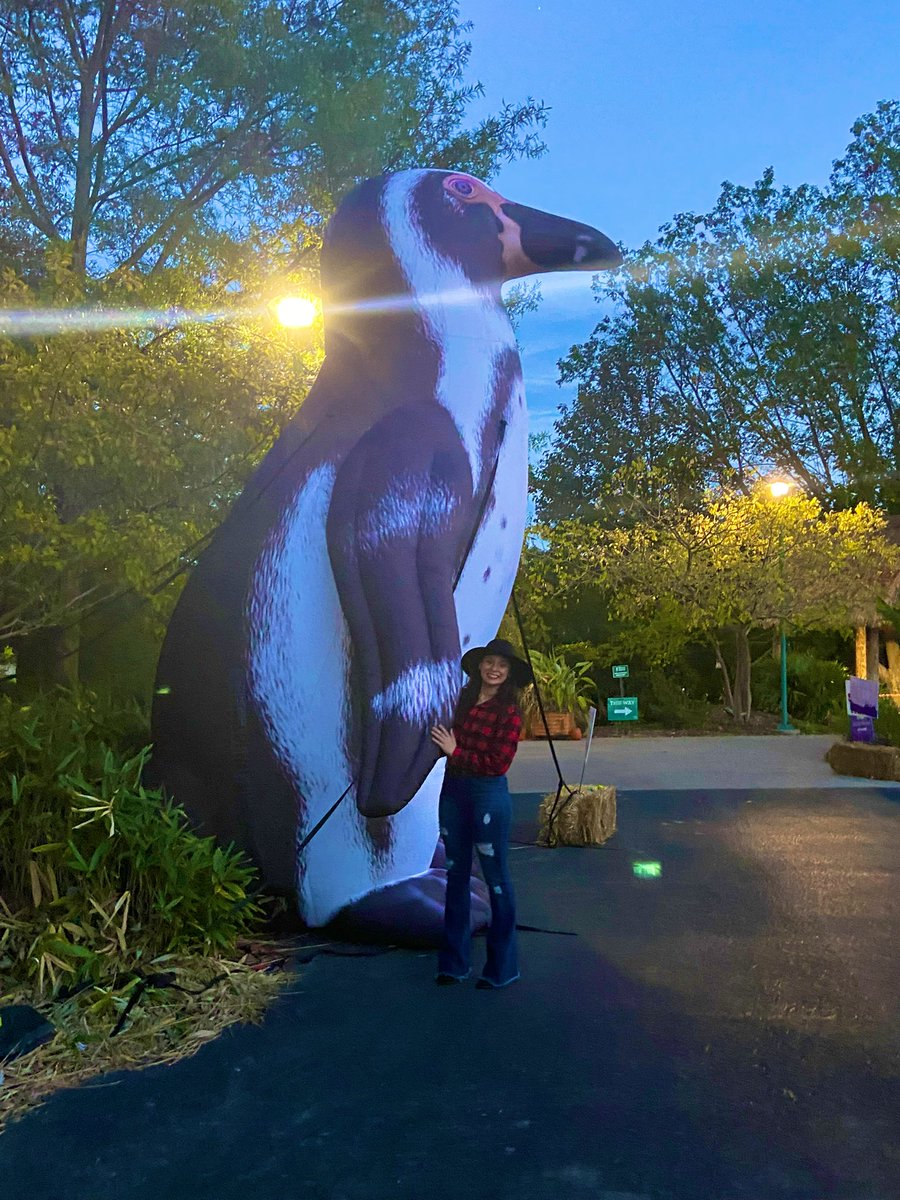 danniesander's tweet photo. cowgirls take on boo at the zoo❤️
stop growing please🥺 https://t.co/mSeUIOtRhv