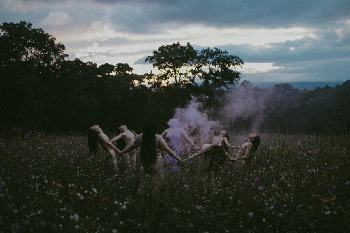 🍋‍🟩 tweet media