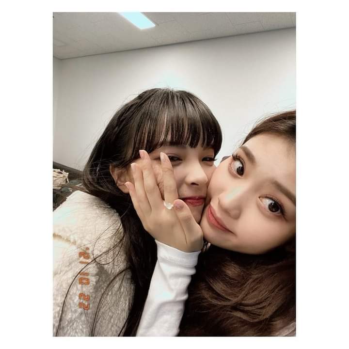 shn_xtng's tweet photo. "i'm truly blessed to be able to know you, i love you, i'm sorry."-yurina

omggg, im sobbing😭 https://t.co/HNbiGdTW34