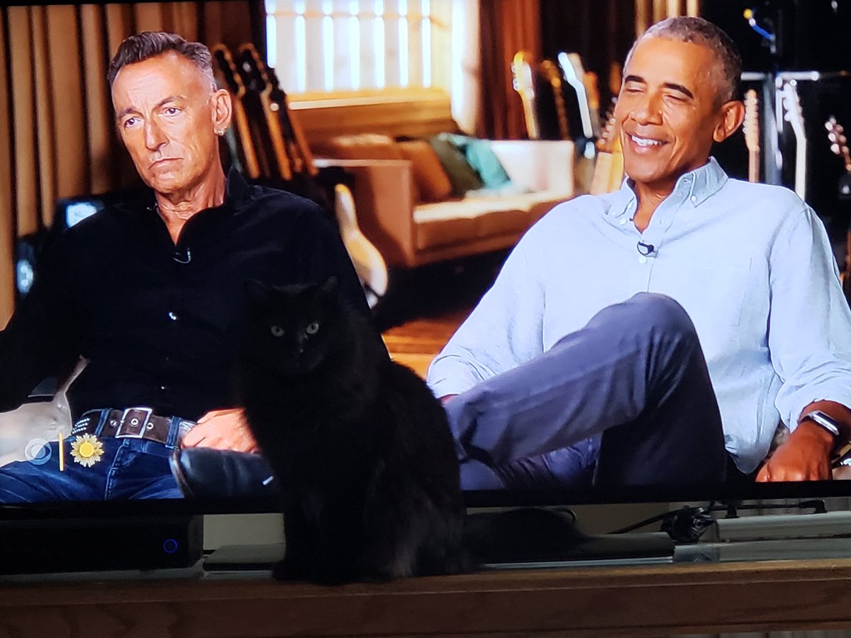 BrendaHansonHul's tweet photo. @AnthonyMasonCBS @backstreetsmag @springsteen @BarackObama @CBSMornings Kitty Thunder, named for Thunder Road, wanted to join in. https://t.co/dLFOKHu0LJ