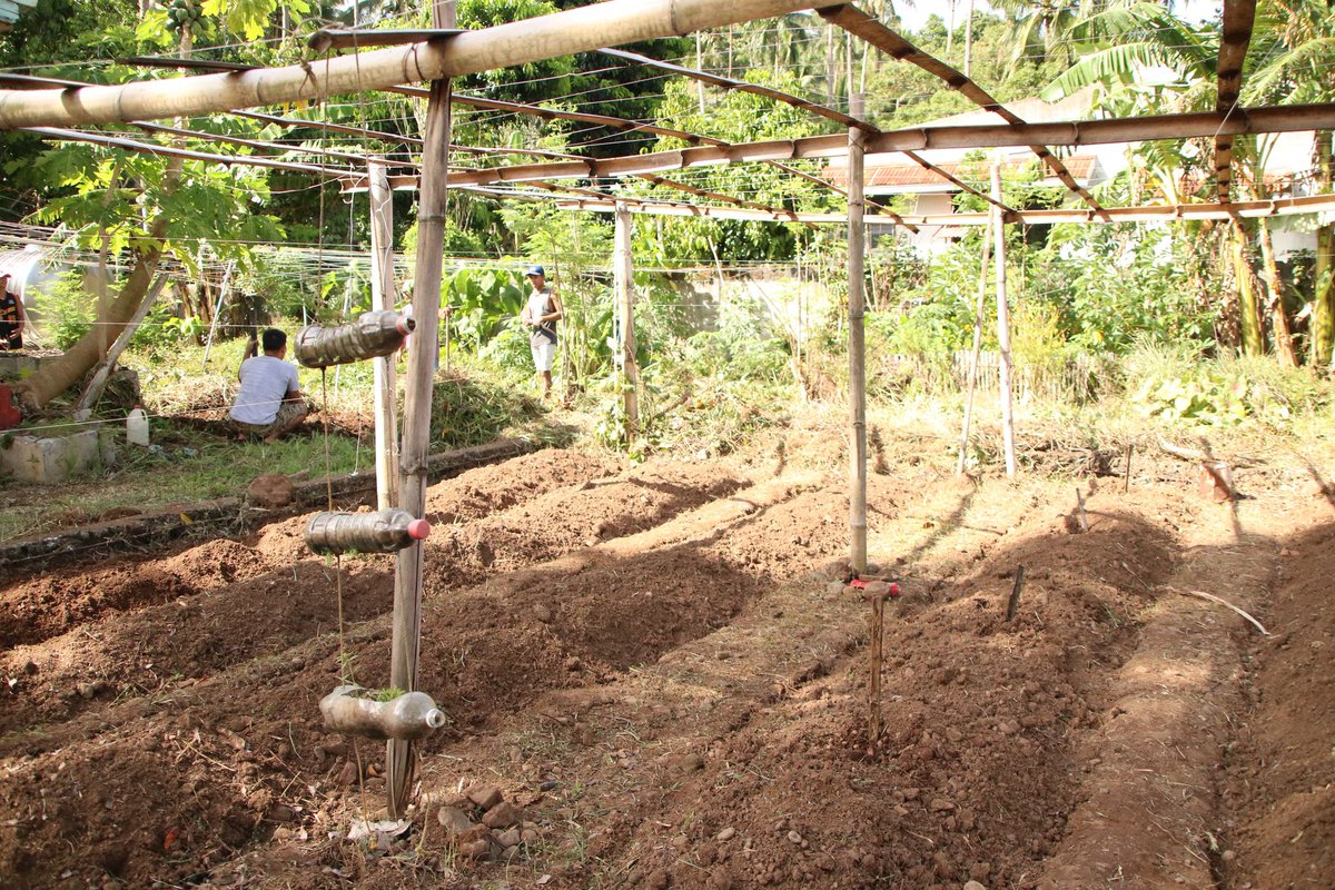 dswdfo10's tweet photo. The Department of Social Welfare and Development Field Office X has continuously implemented its climate change adaptation and mitigation activities, particularly communal gardening and Gulayan sa Paaralan in the province of Camiguin.

Read more: https://t.co/7WEXxCfWWP https://t.co/HdYYevfHYe