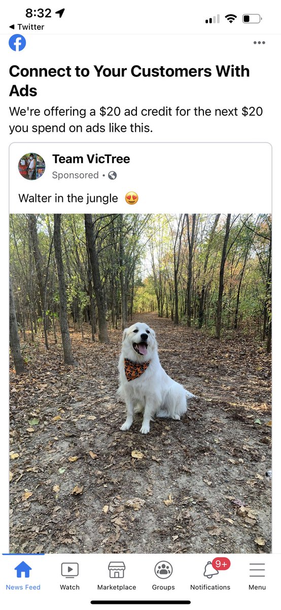 Smartalecc5's tweet photo. I should prob spend $20 on this FB ad for my team, right? https://t.co/KrYG57f3MT