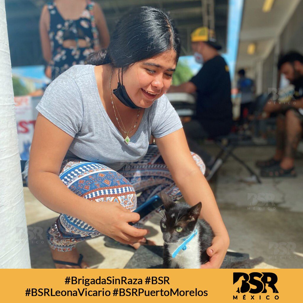 Brigada Sin Raza tweet media