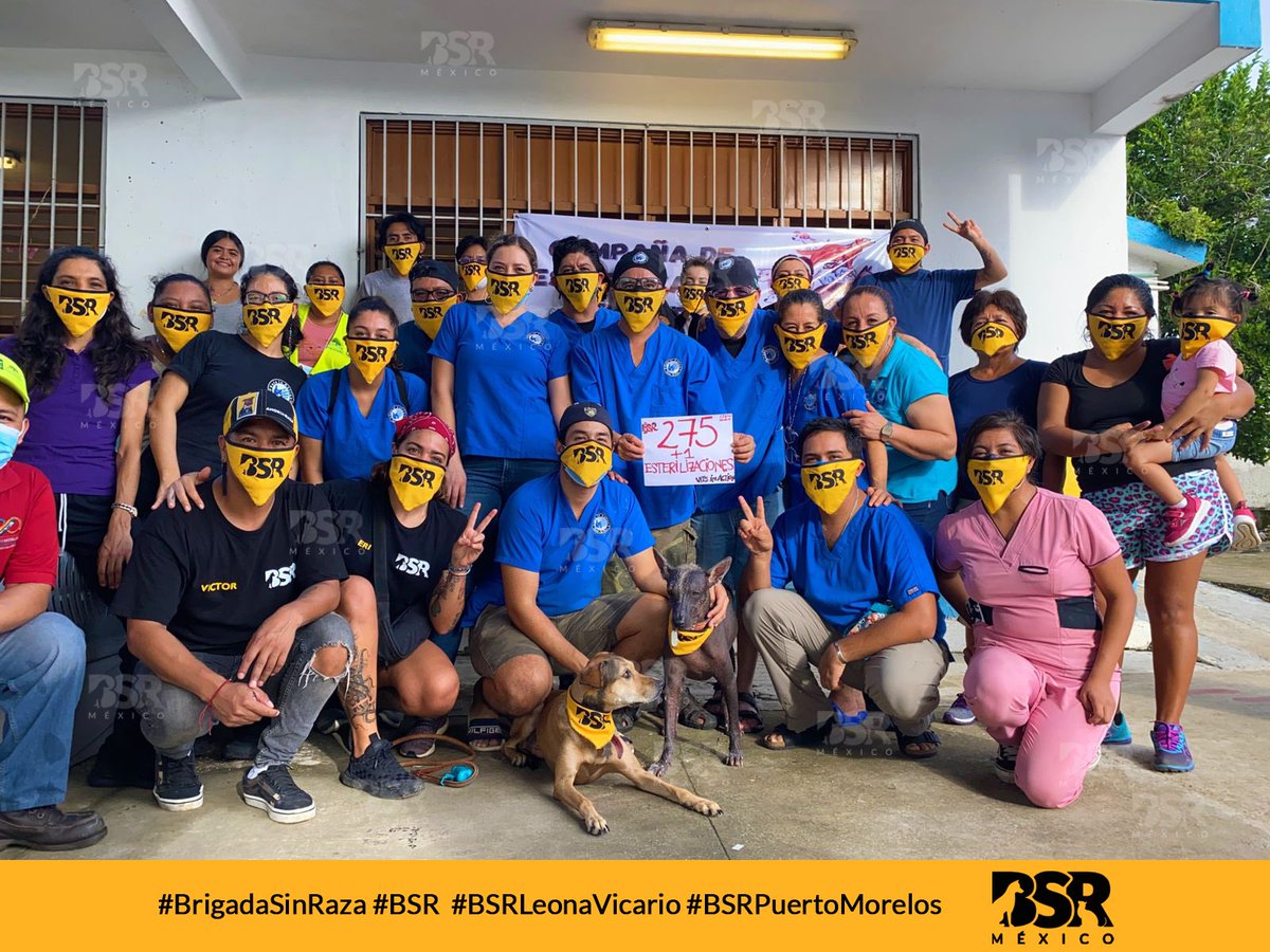 Brigada Sin Raza tweet media