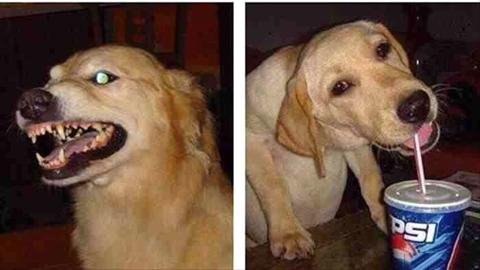 Dolli pasando por cualquier estación / Dolli pasando por la estación de Facundo