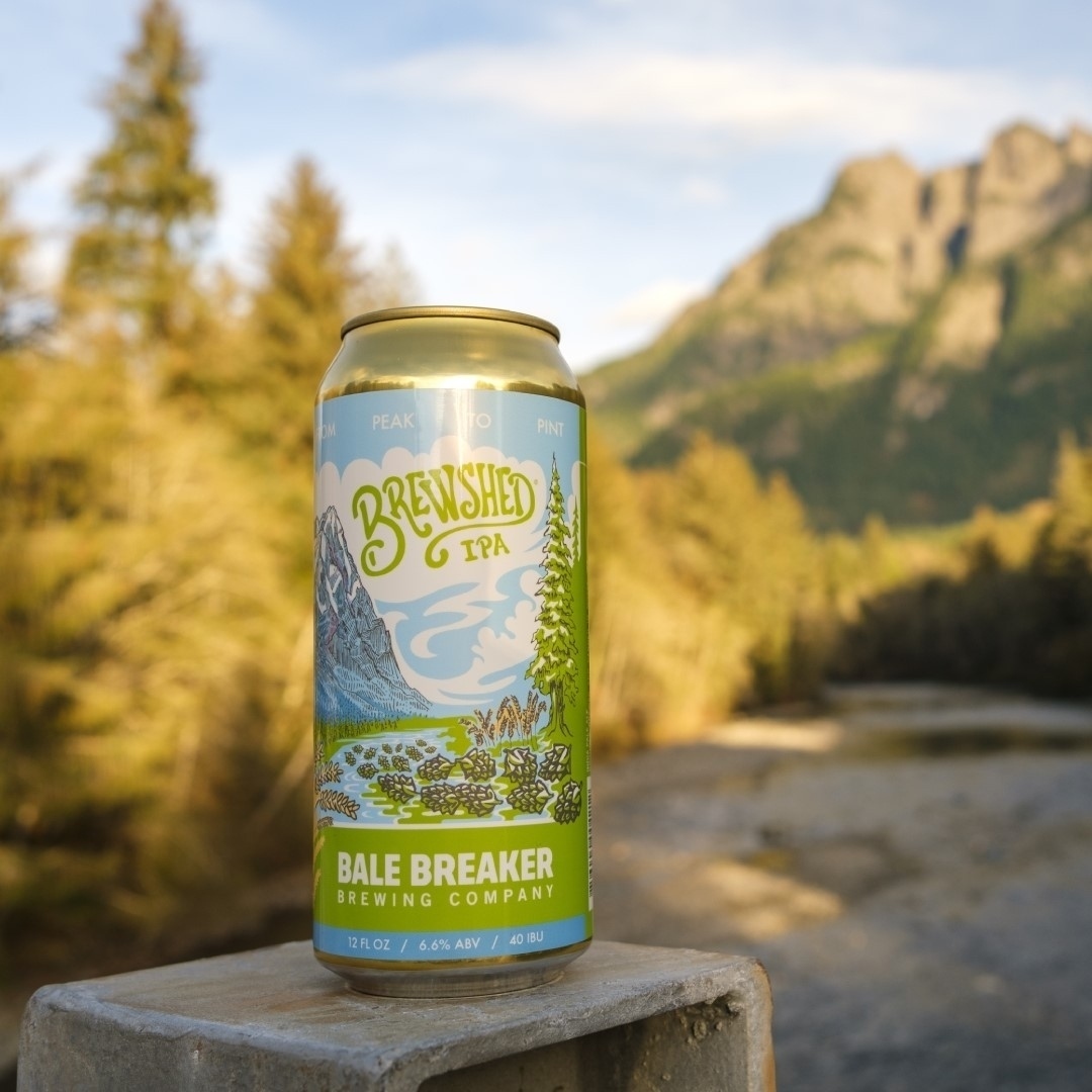 MainstemMalt's tweet photo. Always an honor to have our malt flowing into @BaleBreaker, WA's #4 largest brewery.
This release features our Cascadia White Wheat. Grain grown by Diamond-S Farms in Colton, WA.
Cheers to @WA_Wild for keeping this project going w/ us all!
#beer #craftmalt #conservationcollab https://t.co/vBXj8WLyKM