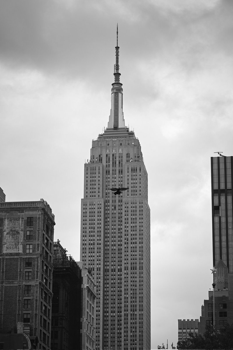 gotham
#bnw #nyc #blackandwhitephotography #streetphotography #esbfan