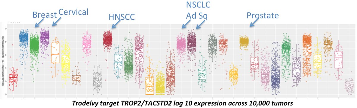 RubikTx's tweet image. Approved in TNBC (breast) Trodelvy's target TROP2 exhibits high expression across many deadly tumor types.  Maybe prioritize tumors sensitive to DNA damage agents