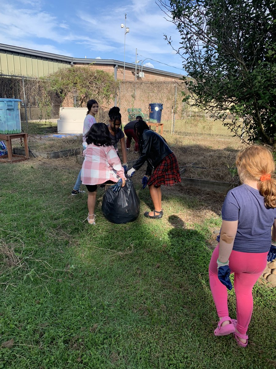 Oaks Garden Club working hard to get our garden ready for fall planting! <a href="/HumbleISD_OE/">Oaks Elementary</a> <a href="/Allison_C25/">Allison Chandler</a>