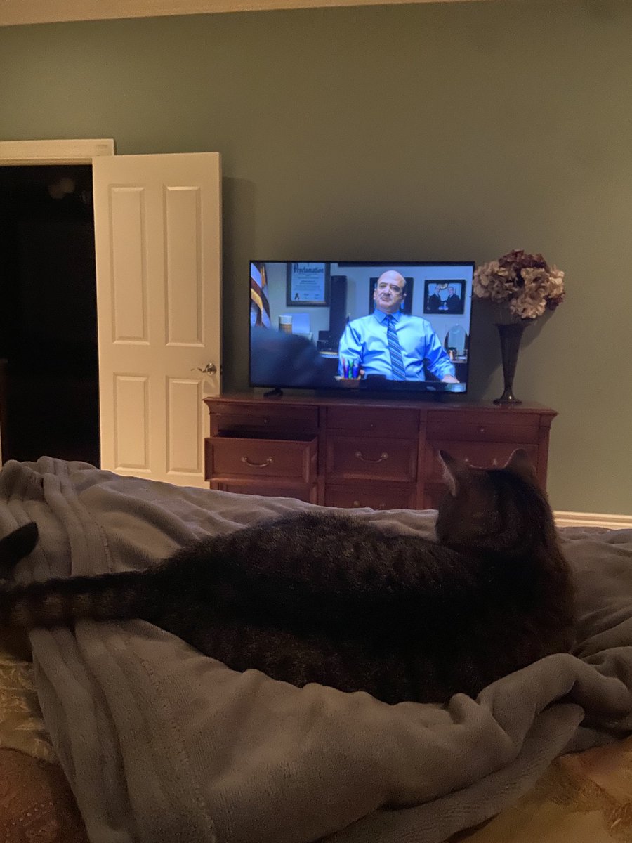 skprupert's tweet photo. My cat loves Billions. https://t.co/750tIREsYX
