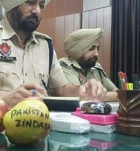 FreeKhalistaan's tweet photo. Apple is the largest industry in Occupied #Kashmir.Kashmiri apples go to #Indian markets and these apples have pro-#Pakistan &amp; pro-#freedom slogans written on them. Kashmir has never been &amp; never will be part of #India https://t.co/TDAJIj7hMm