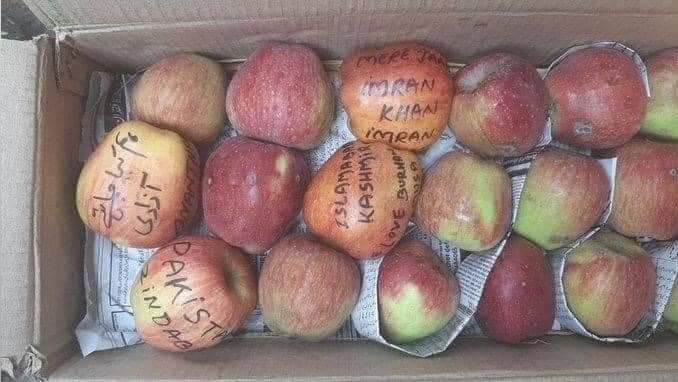 FreeKhalistaan's tweet photo. Apple is the largest industry in Occupied #Kashmir.Kashmiri apples go to #Indian markets and these apples have pro-#Pakistan &amp; pro-#freedom slogans written on them. Kashmir has never been &amp; never will be part of #India https://t.co/TDAJIj7hMm
